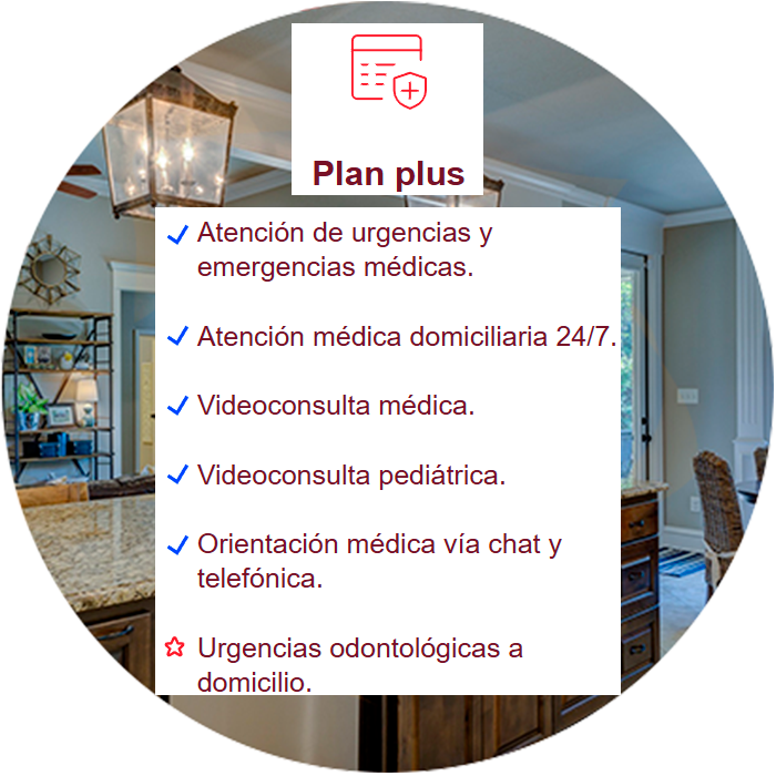Plan Plus Emi Falk